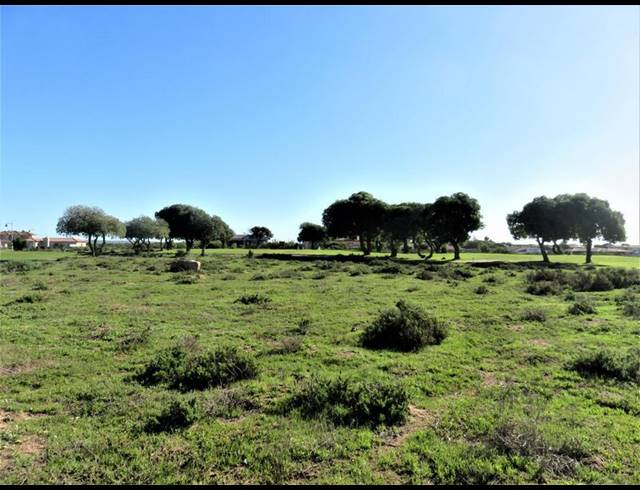 LAND FOR SALE IN LANGEBAAN COUNTRY ESTATE